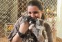 Por que vimos mais registros de resgate de cães do que de gatos na enchente?