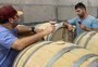 Vinícolas da Serra produzem vinho em colaboração e com edição limitada 