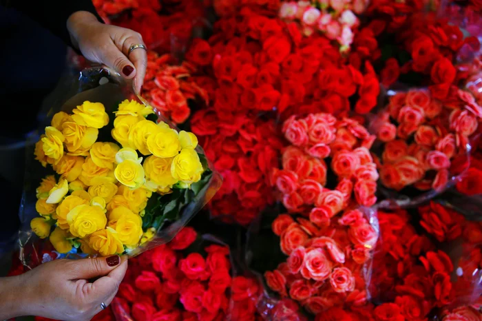 Félix Zucco / Agencia RBS