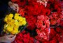 Muito além da homenagem: mulheres fazem o setor de flores florescer, mostra estudo