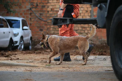 GRAVATAÍ, RS, BRASIL, 13-03-2026: Família Aguiar: polícia e bombeiros fazem buscas com cães farejadores em Gravataí e Cachoeirinha. Silvana Germann de Aguiar, de 48 anos, e os pais dela, Isail Aguiar, de 69, e Dalmira Aguiar, 70, não são vistos desde os dias 24 e 25 de janeiro. Foto: Ronaldo Bernardi/Agência RBS<!-- NICAID(16244504) -->