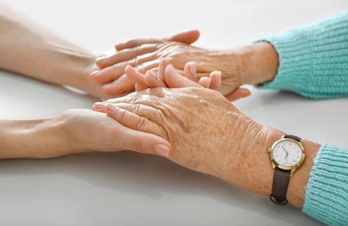 Reprodução / adobe.stock.com