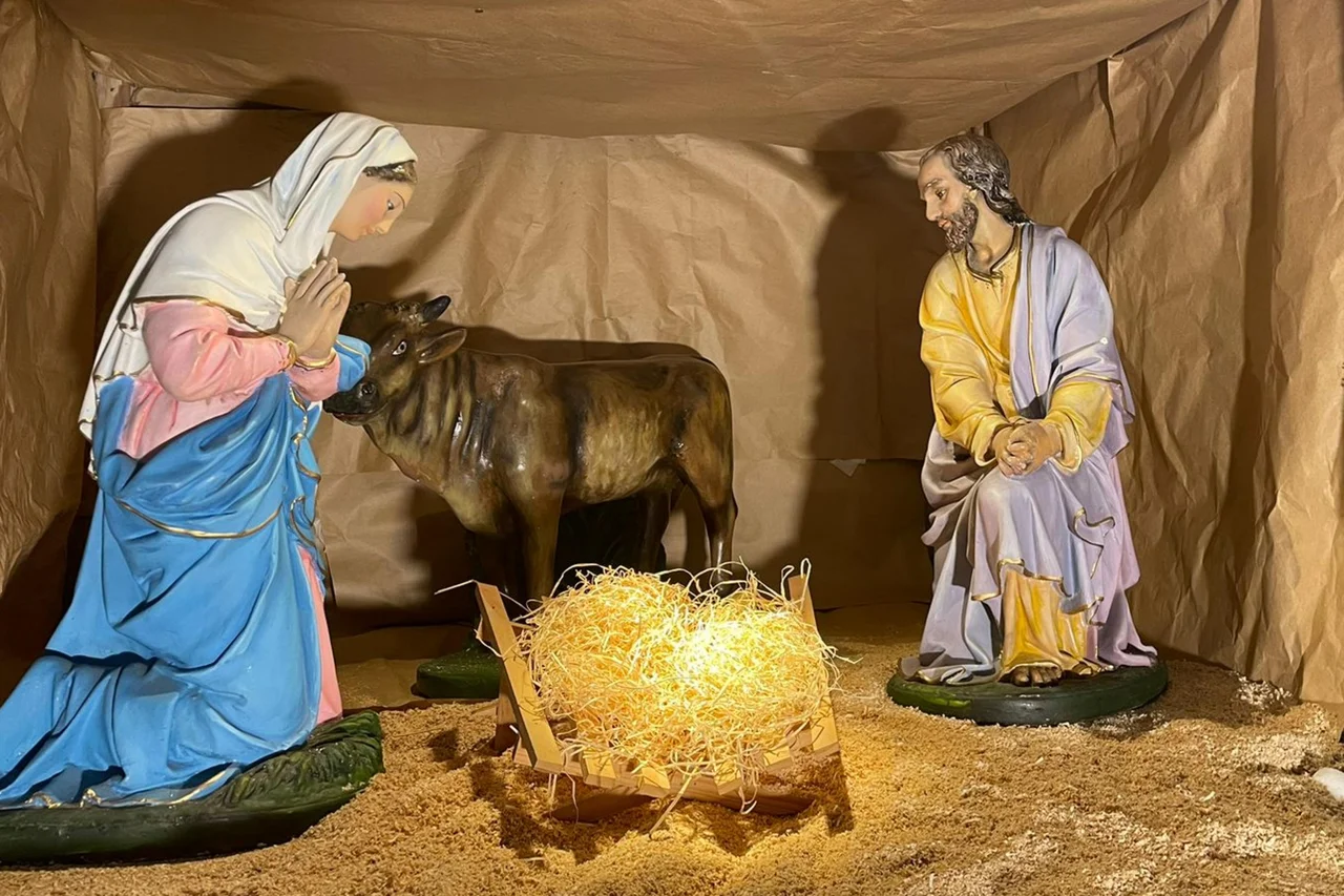 Rebecca Mistura/Agencia RBS