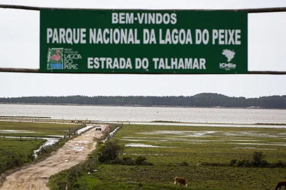 TAVARES, RS, BRASIL, 21-09-2022: Parque Nacional da Lagoa do Peixe, no litoral medio do Rio Grande do Sul. Pelo menos metade da lagoa secou em fevereiro de 2022, em decorrencia de fatores climaticos e da acao humana, provocando a morte de parte da fauna local. Agora, meses depois, se observa maior nivel de agua, presenca de aves, peixes e outros animais. A barra foi aberta, o que permite a entrada da agua do mar na lagoa. Foto: Mateus Bruxel / Agencia RBSIndexador: Mateus Bruxel<!-- NICAID(15218368) -->