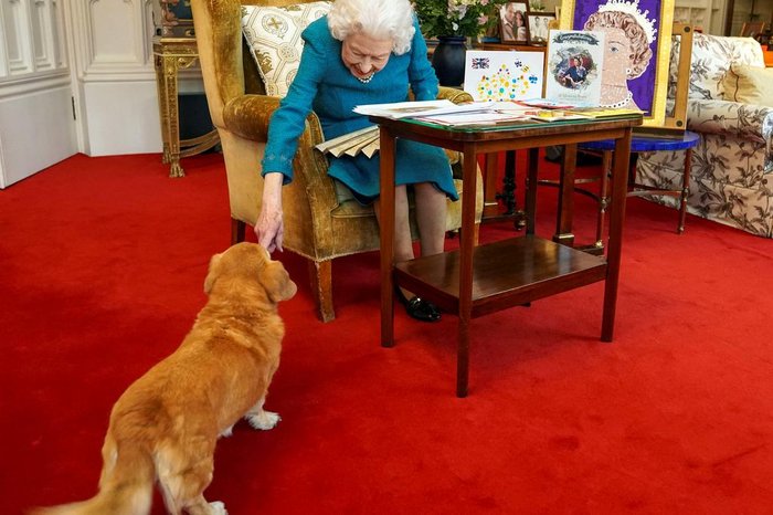 STEVE PARSONS / AFP/POOL