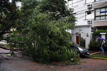 Estragos do temporal em Porto Alegre. Na foto rua Dona Leonor, bairro Rio Branco -  Foto: Ivan Pacheco/Agencia RBS<!-- NICAID(15711806) -->