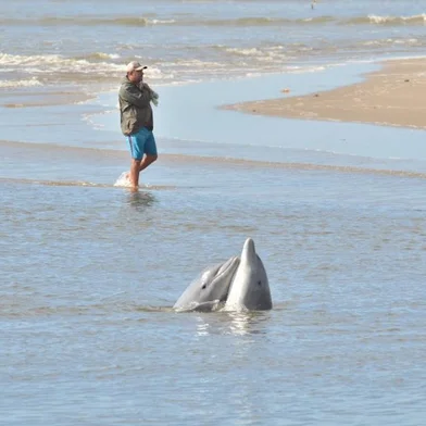 Botos da Barra<!-- NICAID(14955511) -->