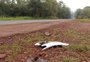 Vítima de atropelamento que ficou presa ao carro em Giruá estava no RS há duas semanas