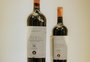 O vinho gaúcho que arrecadou mais de R$ 72 mil para instituições de caridade