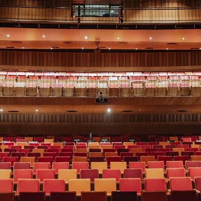 Teatro Simões Lopes Neto<!-- NICAID(16100421) -->