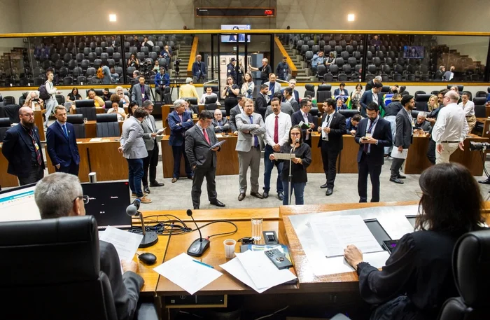 Ana Terra Firmino / Câmara de Porto Alegre/Divulgação Ana Terra Firmino / Câmara de Porto Alegre/Divulgação