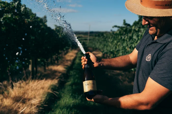 Daniela Radavelli / divulgação