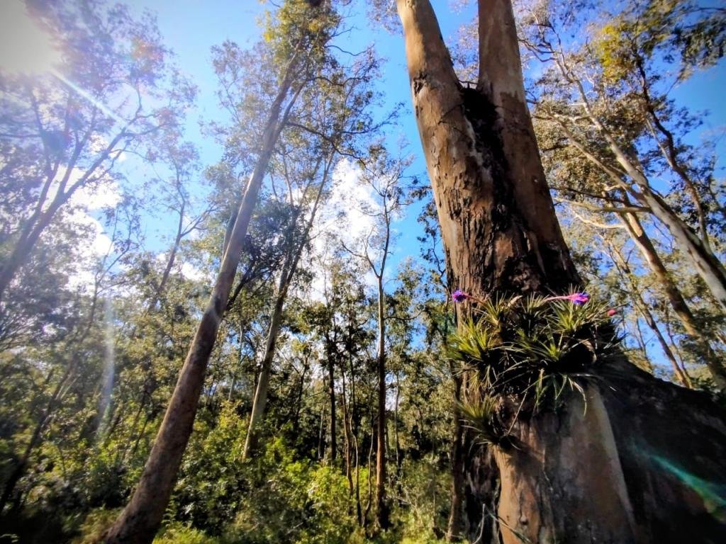 Rio Grande amplia parque urbano no Cassino com nova &aacute;rea verde de 7 mil m&sup2;