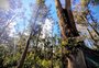 Rio Grande amplia parque urbano no Cassino com nova área verde de 7 mil m²