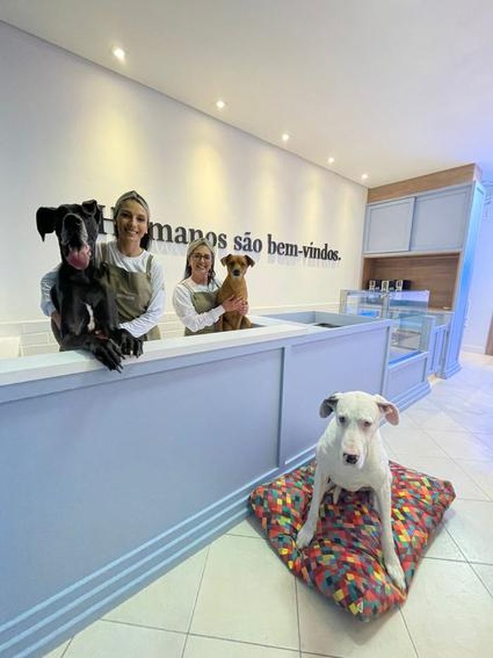 Dogue Bakery / Divulgação Dogue Bakery / Divulgação