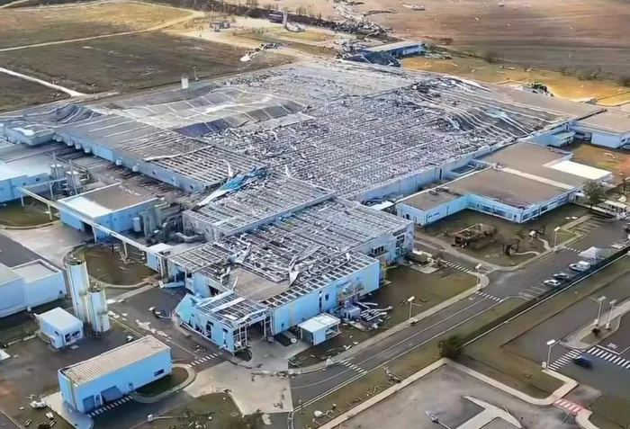 Instagram @vine.films / Reprodução