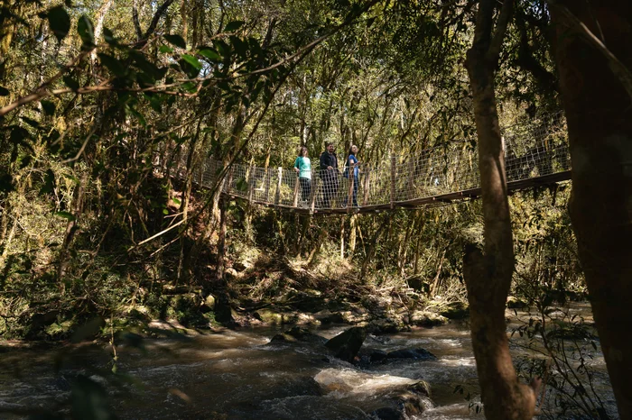 Brocker / Divulgação