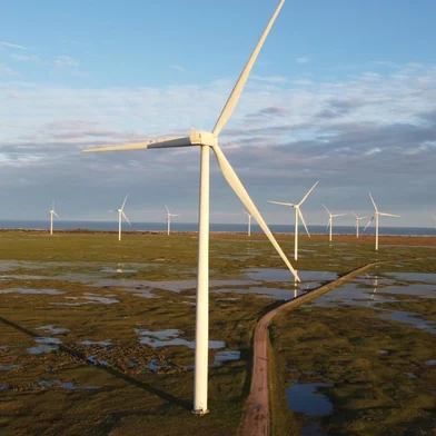 AES Brasil<!-- NICAID(15520687) -->