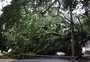 Porto Alegre tem pelo menos 40 pontos totalmente bloqueados em razão da chuva; confira