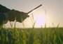 O perfil das pessoas empregadas pelo agro no melhor primeiro trimestre de série histórica