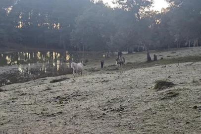 Cidades da Serra registram temperaturas abaixo de zero no amanhecer desta quarta. Na foto, geada em Gramado.<!-- NICAID(16066824) -->