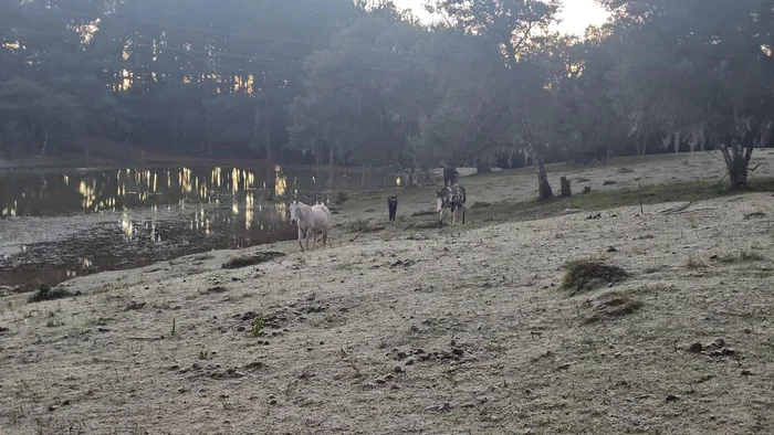 Halder Ramos / Divulgação Halder Ramos / Divulgação