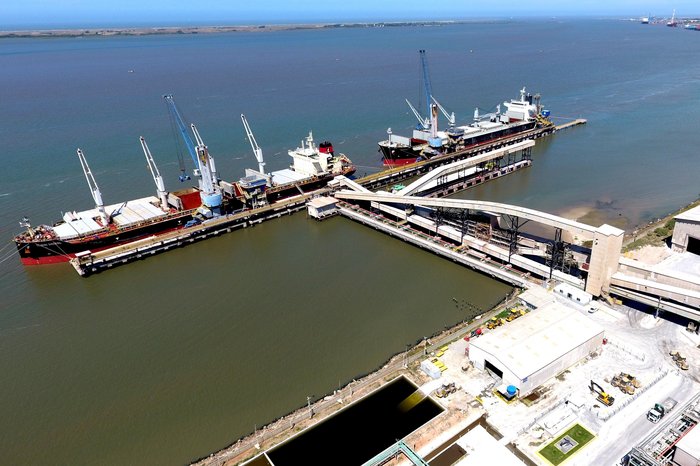 Yara Brasil / Divulgação