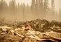 Relatório sobre “mudanças irreversíveis no clima” eleva pressão para descarbonizar economia 