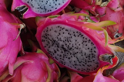 Produção orgânica de pitaya chega à feira do Bom Fim <!-- NICAID(16225399) -->
