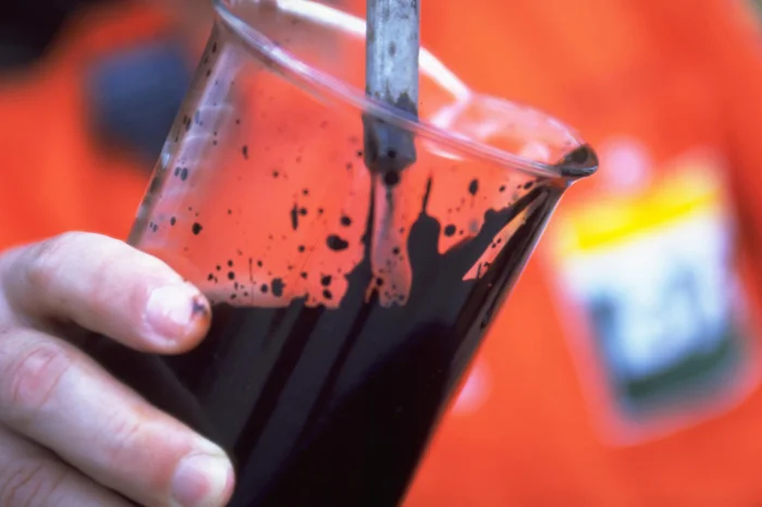 Agência Petrobras / Divulgação Agência Petrobras / Divulgação