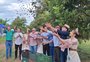 Apesar da quebra de safra, tom otimista marca abertura da colheita da noz-pecan