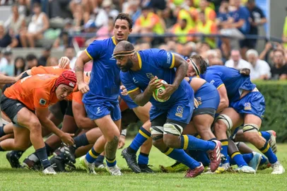 Cobras Brasil Rugby, rugby