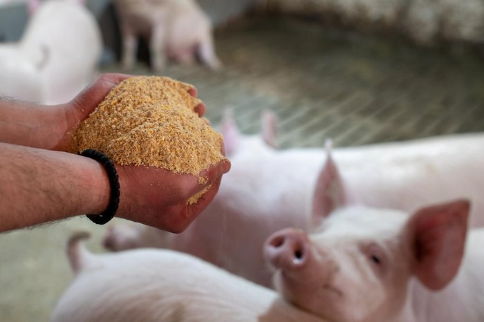 Budimir Jevtic / stock.adobe.com Budimir Jevtic / stock.adobe.com