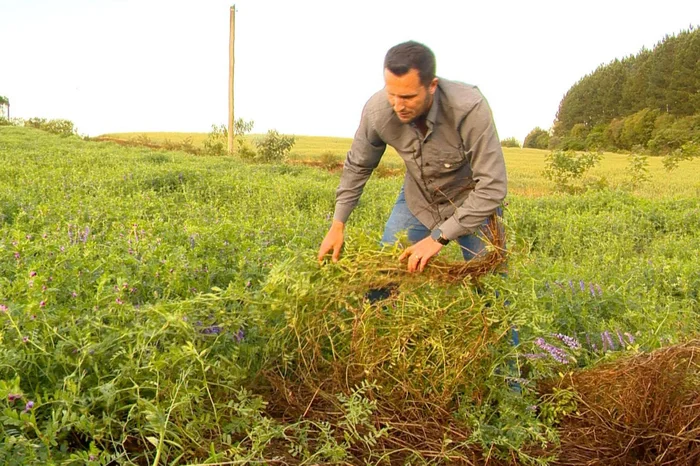 Reprodução RBS TV / Divulgação