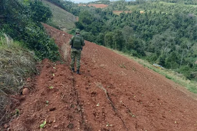 Polícia flagra mais de 100 mil m² de desmatamento no norte do RS<!-- NICAID(16115408) -->