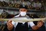 Feira do Peixe começa na segunda-feira em Porto Alegre