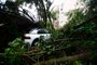 Porto Alegre, RS, Brasil, 16/06/2023 - Ciclone extratropical causa estragos na zona sul de Porto Alegre - Foto: Jonathan Heckler/Agência RBS<!-- NICAID(15458058) -->