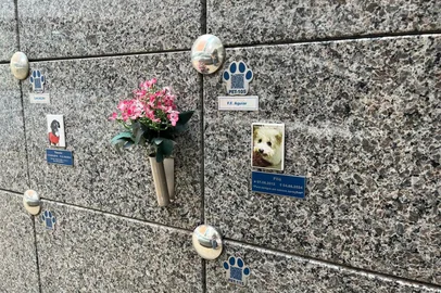 Imagens do Memorial Pet no bairro Vera Cruz em Passo Fundo.<!-- NICAID(16236799) -->