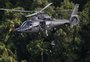 VÍDEO: projeto planta mudas e lança sementes a partir de helicóptero em áreas afetadas por cheias no Vale do Taquari 