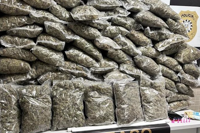 Divulgação / Polícia Civil