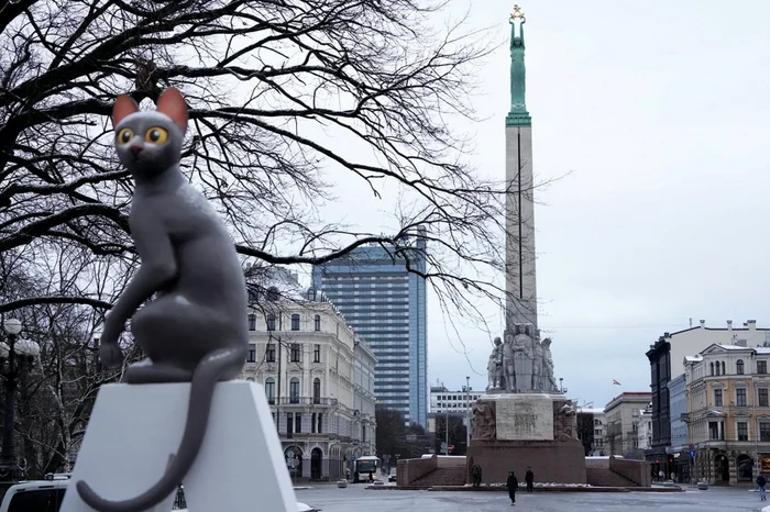 Mares Filmes / Divulgação Mares Filmes / Divulgação