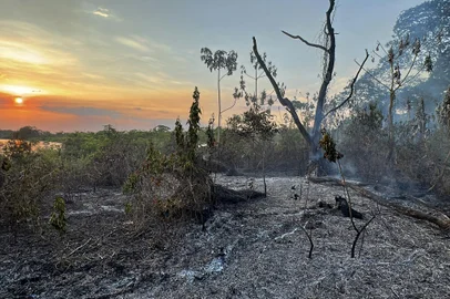 The scene of forest fires in the Pantanal wetland in Porto Jofre, Mato Grosso State, Brazil, on November 13, 2023. Several fires have been ravaging the Brazilian Pantanal, the largest wetland on the planet. According to the specialists, these fires are primarily caused by human action, in particular the use of slash-and-burn techniques for agricultural expansion, and the situation at the end of the year has been exacerbated by an exceptional drought. (Photo by ROGERIO FLORENTINO / AFP)Editoria: DISLocal: Porto JofreIndexador: ROGERIO FLORENTINOSecao: droughtFonte: AFPFotógrafo: STR<!-- NICAID(15603876) -->