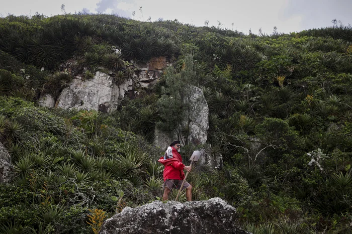 Mateus Bruxel / Agencia RBS