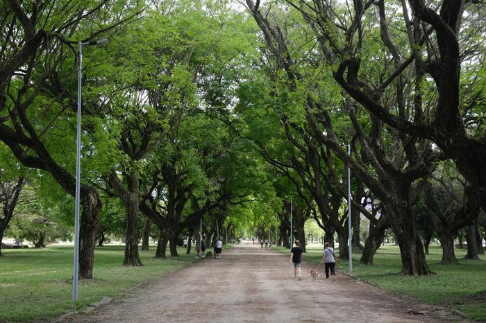 Mateus Bruxel / Agencia RBS Mateus Bruxel / Agencia RBS