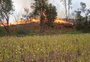 Incêndio consome 17 hectares de propriedade em Lagoa Vermelha