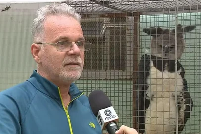 PF indicia ex-superintendente do Ibama no RS e outros cinco por esquema de repasse de aves para criadores particulares.Na foto: Paulo Guilherme Carniel Wagner, suspeito de desviar animais do Ibama.<!-- NICAID(16034111) -->