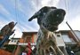 Em decisão inédita, Justiça do Paraná dá permissão para cães serem autores de ações