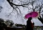 Semana começa com chuva em todas as regiões do RS; Norte segue em alerta para temporal