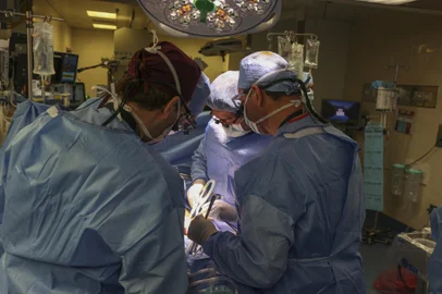In this March 16, 2024, image courtesy of the Massachusetts General Hospital in Boston, Massachusetts, surgeons perform the worlds first genetically modified pig kidney transplant into a living human. A team of surgeons have successfully transplanted a pig kidney into a living patient for the first time, the hospital said on March 21, 2024. The four-hour-long operation was carried out on March 16 on a 62-year-old man suffering from end-stage kidney disease, the hospital said. (Photo by Michelle ROSE / Massachusetts General Hospital / AFP) / RESTRICTED TO EDITORIAL USE - MANDATORY CREDIT "AFP PHOTO / Massachusetts General Hospital/Michelle ROSE" - NO MARKETING NO ADVERTISING CAMPAIGNS - DISTRIBUTED AS A SERVICE TO CLIENTSEditoria: HTHLocal: BostonIndexador: MICHELLE ROSESecao: health treatmentFonte: Massachusetts General HospitalFotógrafo: Handout<!-- NICAID(15712141) -->