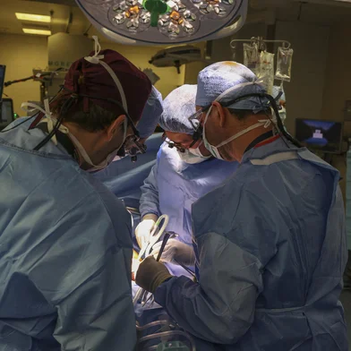 In this March 16, 2024, image courtesy of the Massachusetts General Hospital in Boston, Massachusetts, surgeons perform the worlds first genetically modified pig kidney transplant into a living human. A team of surgeons have successfully transplanted a pig kidney into a living patient for the first time, the hospital said on March 21, 2024. The four-hour-long operation was carried out on March 16 on a 62-year-old man suffering from end-stage kidney disease, the hospital said. (Photo by Michelle ROSE / Massachusetts General Hospital / AFP) / RESTRICTED TO EDITORIAL USE - MANDATORY CREDIT "AFP PHOTO / Massachusetts General Hospital/Michelle ROSE" - NO MARKETING NO ADVERTISING CAMPAIGNS - DISTRIBUTED AS A SERVICE TO CLIENTSEditoria: HTHLocal: BostonIndexador: MICHELLE ROSESecao: health treatmentFonte: Massachusetts General HospitalFotógrafo: Handout<!-- NICAID(15712141) -->